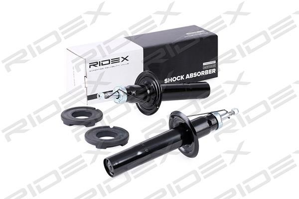 Ridex 854S1680 Front oil and gas suspension shock absorber 854S1680