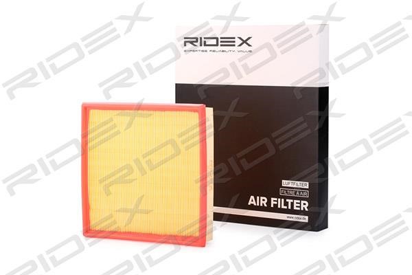 Ridex 8A0063 Air filter 8A0063