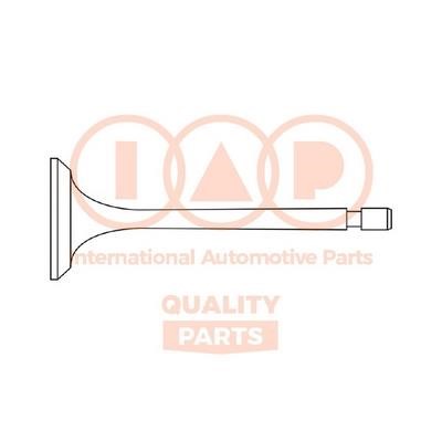 IAP 110-07061 Exhaust valve 11007061