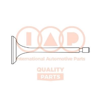 IAP 110-17058 Intake valve 11017058