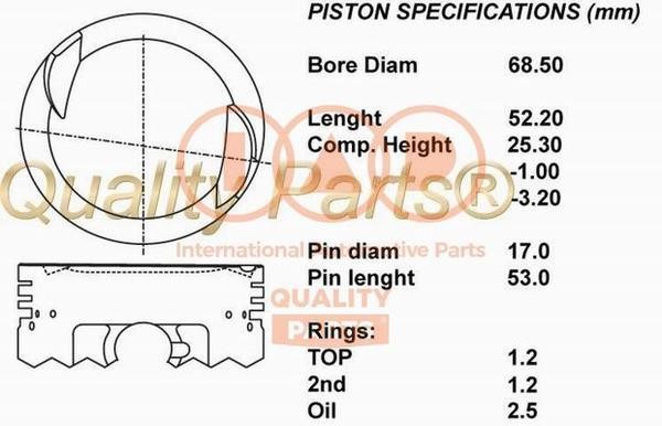 IAP 101-20064 Piston 10120064
