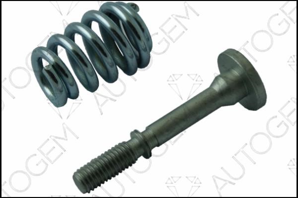 AutoGem CSC675 Exhaust pipe spring CSC675