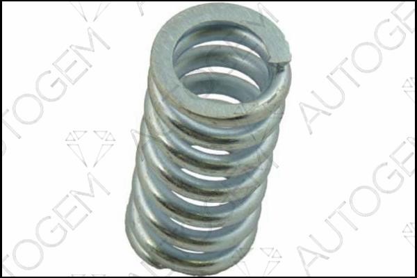 AutoGem CSC102 Exhaust pipe spring CSC102