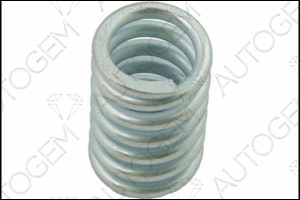 AutoGem CSC98 Exhaust pipe spring CSC98