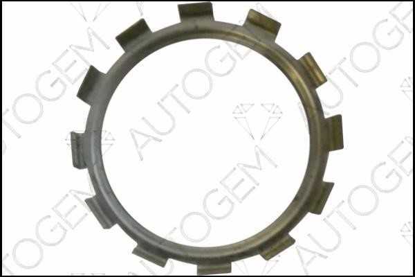 AutoGem CEG9565 Seal, EGR valve CEG9565