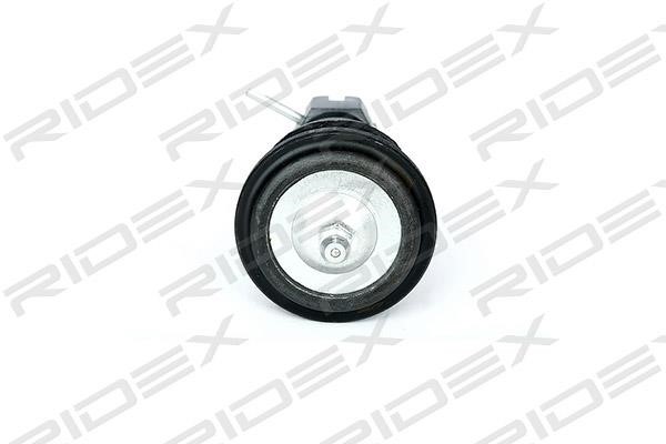 Ridex 2462S0062 Ball joint 2462S0062