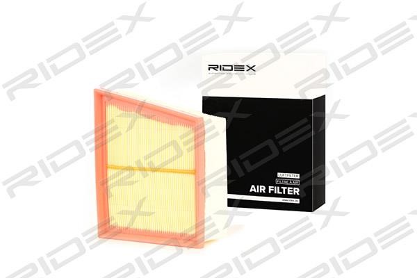 Ridex 8A0250 Air filter 8A0250