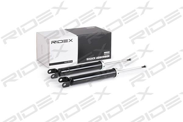 Ridex 854S0891 Rear oil and gas suspension shock absorber 854S0891