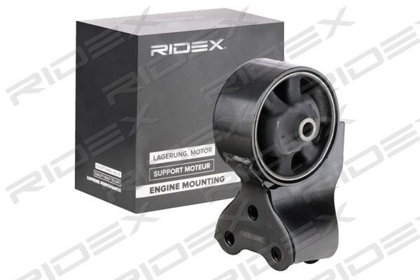Ridex 247E0554 Engine mount 247E0554
