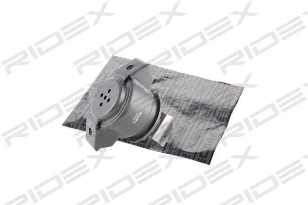 Ridex 247E0029 Engine mount 247E0029