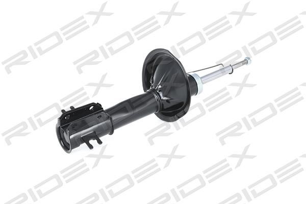 Ridex 854S0339 Front oil and gas suspension shock absorber 854S0339