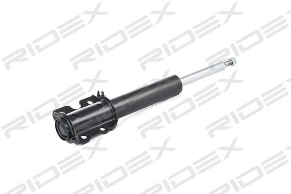 Ridex 854S0689 Front oil shock absorber 854S0689