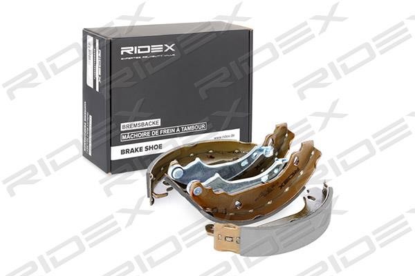 Ridex 70B0100 Brake shoe set 70B0100
