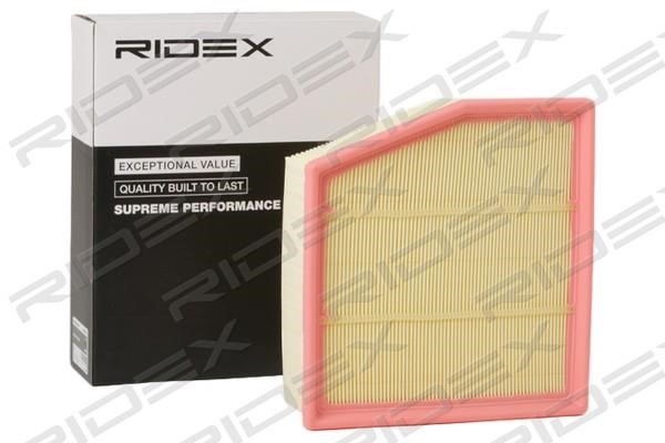 Ridex 8A0599 Air filter 8A0599