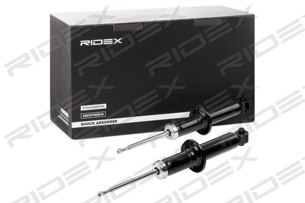 Ridex 854S1641 Rear oil and gas suspension shock absorber 854S1641