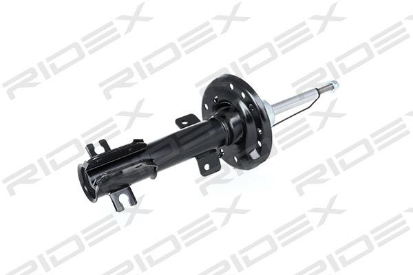 Ridex 854S0290 Front oil and gas suspension shock absorber 854S0290