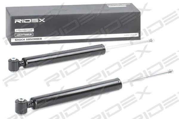 Ridex 854S2176 Rear oil and gas suspension shock absorber 854S2176