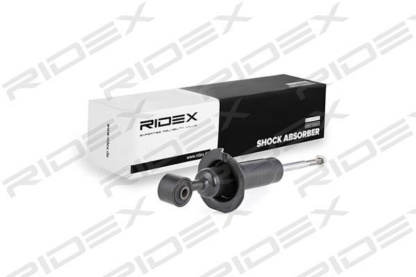 Ridex 854S0473 Front oil and gas suspension shock absorber 854S0473