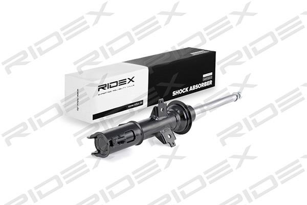 Ridex 854S0399 Front oil and gas suspension shock absorber 854S0399