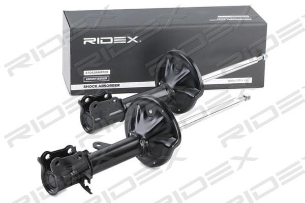 Ridex 854S2576 Rear oil and gas suspension shock absorber 854S2576