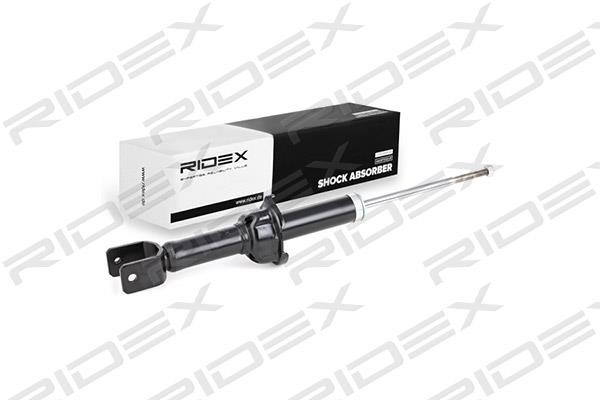 Ridex 854S0389 Rear oil and gas suspension shock absorber 854S0389