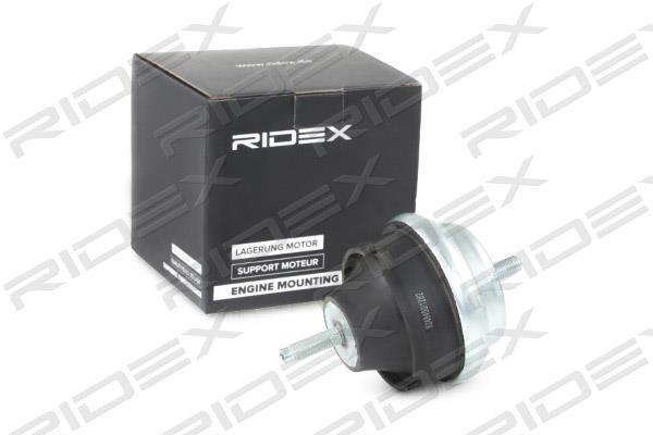 Ridex 247E0099 Engine mount 247E0099