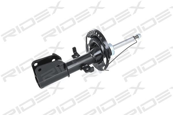 Ridex 854S0210 Front oil and gas suspension shock absorber 854S0210