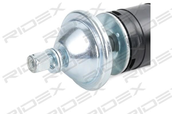Ridex Rear oil and gas suspension shock absorber – price