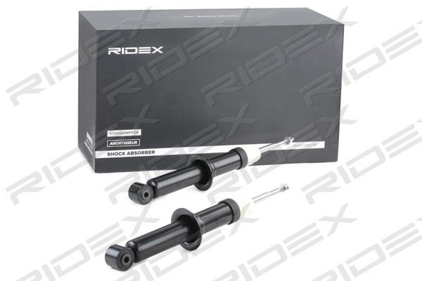Ridex 854S1738 Rear oil and gas suspension shock absorber 854S1738