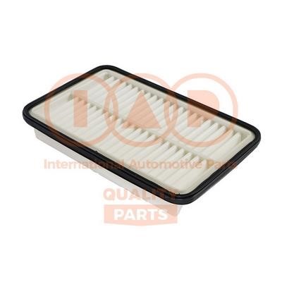 IAP 121-11031 Air filter 12111031