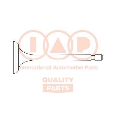 IAP 110-11110 Intake valve 11011110