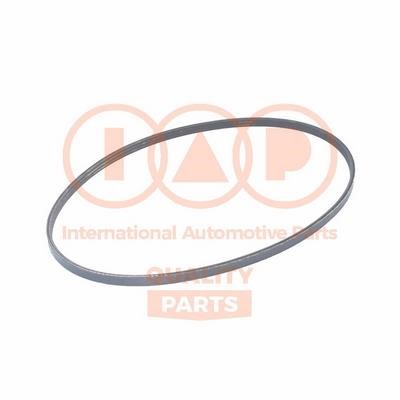 IAP 140-20064 V-Ribbed Belt 14020064