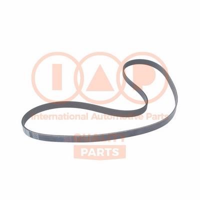 IAP 140-10050 V-Ribbed Belt 14010050