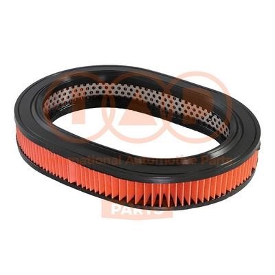 IAP 121-12050 Air filter 12112050