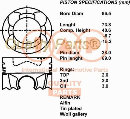 IAP 100-13089 Piston 10013089