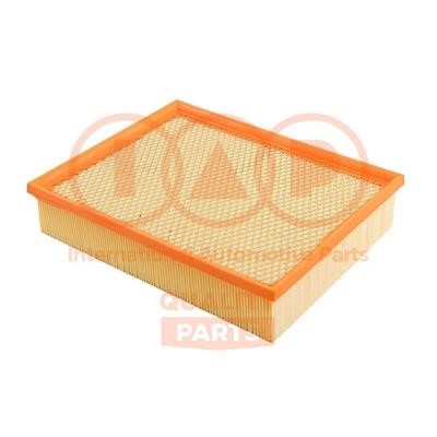 IAP 121-00029 Air filter 12100029