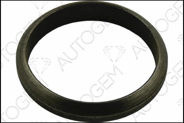 AutoGem CEG4404 O-ring exhaust system CEG4404