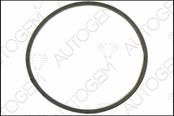 AutoGem CEG9996 O-ring exhaust system CEG9996
