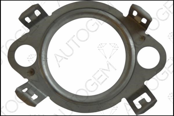 AutoGem CEG4217 Seal, EGR valve CEG4217