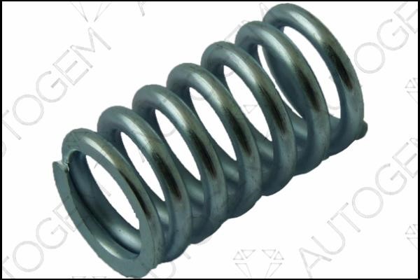 AutoGem CSC985 Exhaust pipe spring CSC985