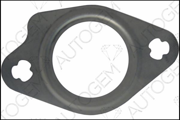 AutoGem CEG6803 Seal, EGR valve CEG6803