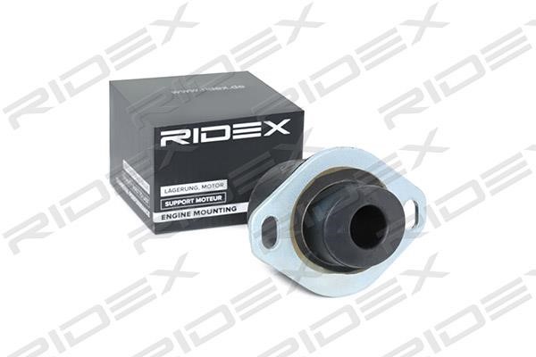 Ridex 247E0066 Engine mount 247E0066