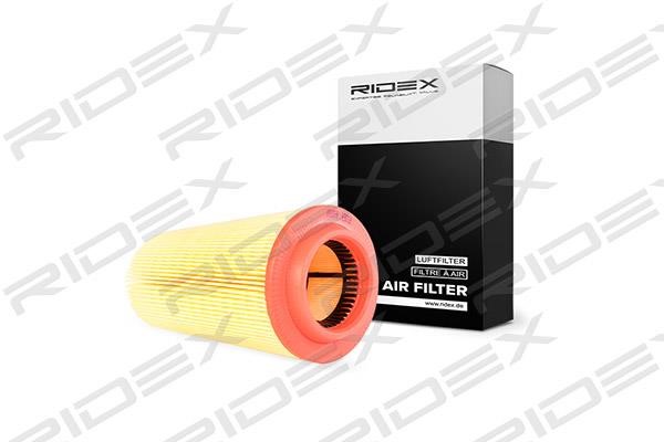 Ridex 8A0060 Air filter 8A0060
