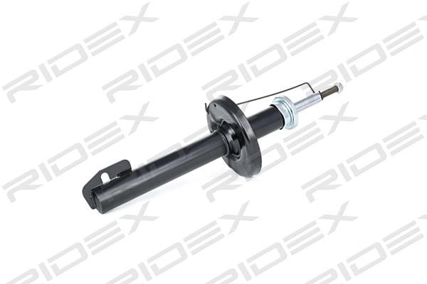 Ridex 854S0889 Front oil and gas suspension shock absorber 854S0889