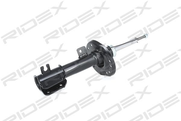 Ridex 854S0382 Front oil and gas suspension shock absorber 854S0382