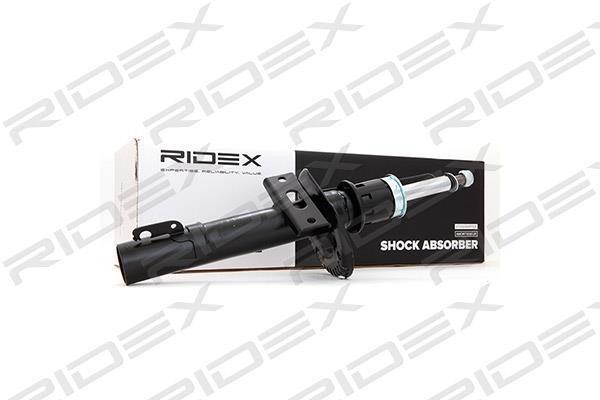 Ridex 854S0316 Front oil and gas suspension shock absorber 854S0316