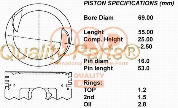 IAP 100-20061 Piston 10020061