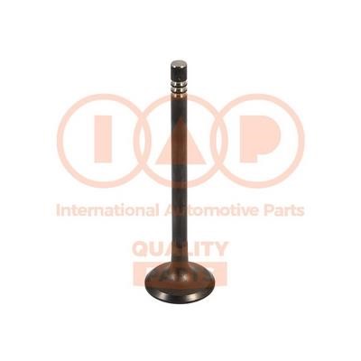 IAP 110-07064G Intake valve 11007064G