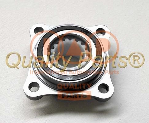 IAP 409-17054 Wheel bearing kit 40917054