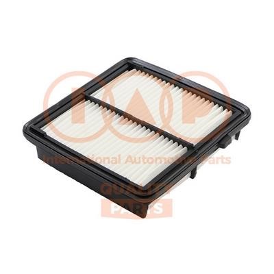 IAP 121-06085 Air filter 12106085